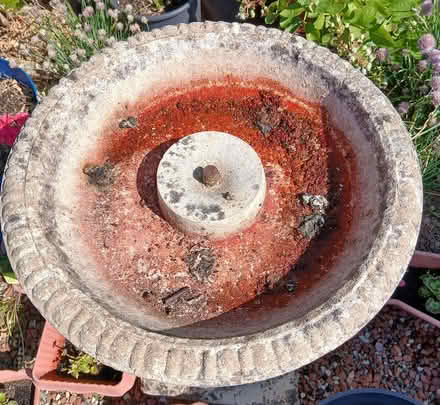 Photo of free Bird Bath etc (Norwich (5 miles)) #2