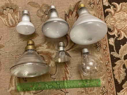 Photo of free Various incandescent light bulbs (Cambrian area, San Jose) #1