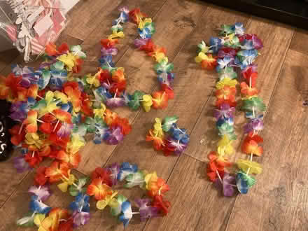 Photo of free Dress up Hawaiian leis (Longford GL2) #1