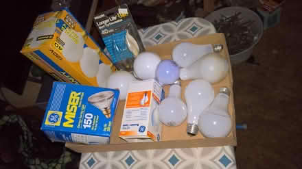 Photo of free Assoted incandescent light bulbs (Livonia) #1