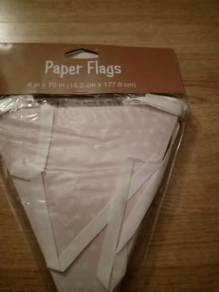 Photo of free Pale pink paper bunting (Hanworth TW13) #4