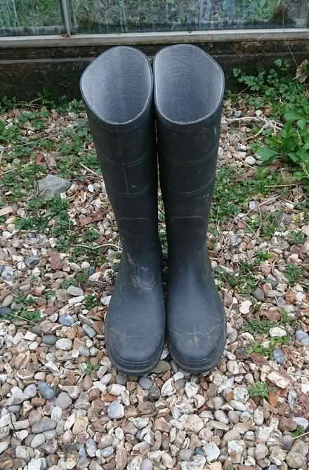 Photo of free Wellies size 11 (Painscastle LD2) #1