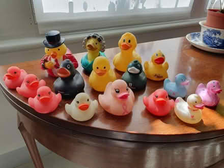 Photo of free Assorted rubber ducks (Barnes) #1