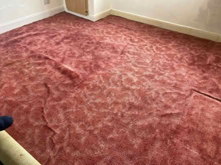Photo of free Bedroom Carpet 3.5x4m (Westermains G66) #1
