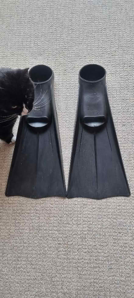 Photo of free Flippers (Prenton CH43) #1