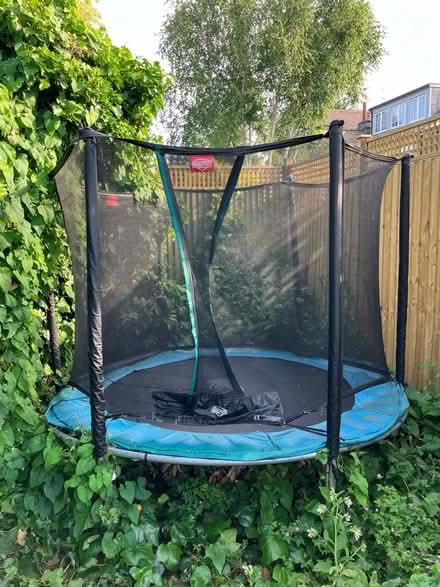 Photo of free Trampoline (Barnes SW13) #1