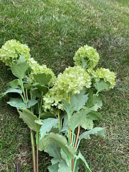 Photo of free Faux flowers (Letchworth garden city SG6) #1
