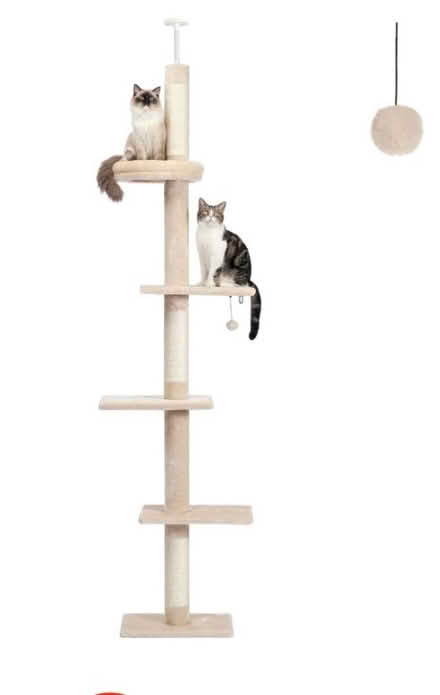 Photo of free Cat tree (Brighton 15th St.) #2