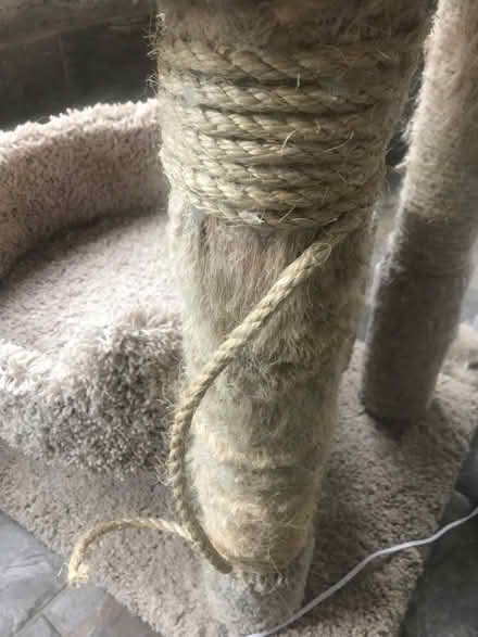 Photo of Rope to repair cat tree again (Univ. City) #1