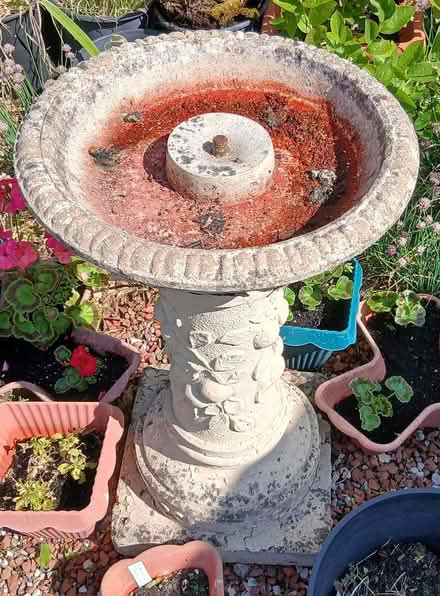 Photo of free Bird Bath etc (Norwich (5 miles)) #1