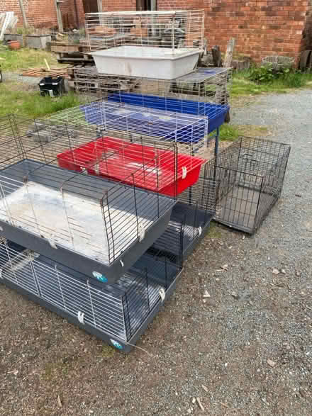 Photo of free Selection Guinea pig / rabbit cages (Shipley/Pattingham WV6) #1