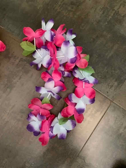 Photo of free Bag of Leis (Englewood) #3