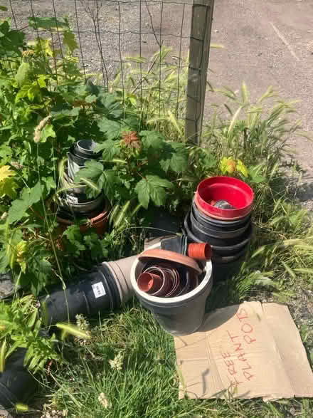 Photo of free Plant Pots, Various Sizes (Treeton S60) #1