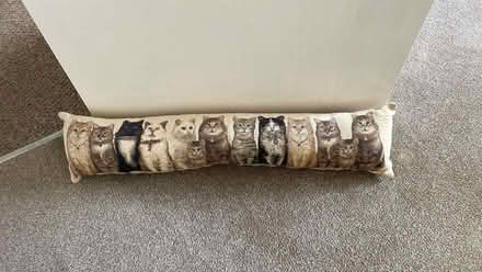 Photo of free Draught Excluder (St Anne's on the Sea FY8) #1