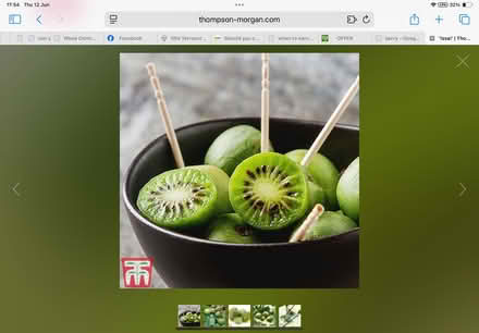 Photo of free Kiwi berry plant New shoots showing! (Stone Cross BN23) #1