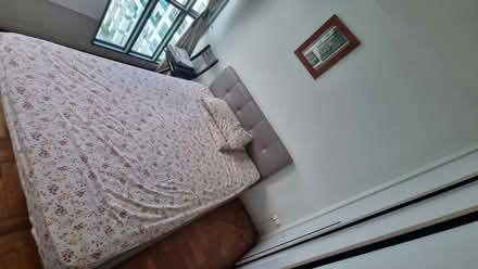 Photo of free Queensize Bed & Sofa (Hillview area (Hume Avenue)) #2