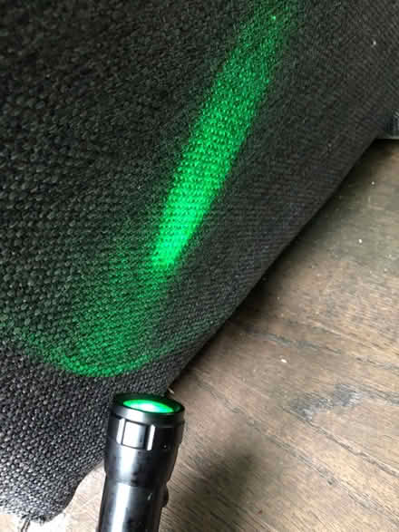 Photo of free Small green light flashlight (North York) #1