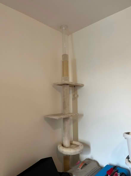 Photo of free Cat tree (Brighton 15th St.) #1