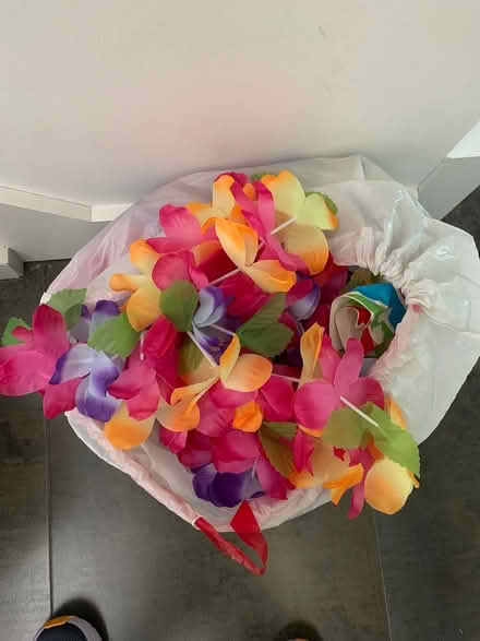 Photo of free Bag of Leis (Englewood) #1
