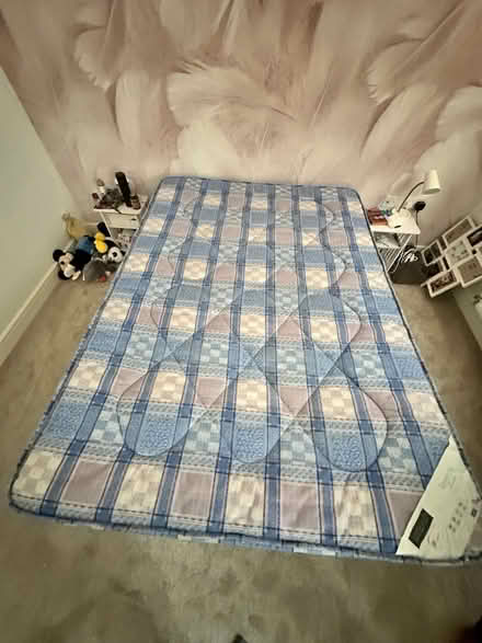 Photo of free Bed with frame (BS10 7GN) #2