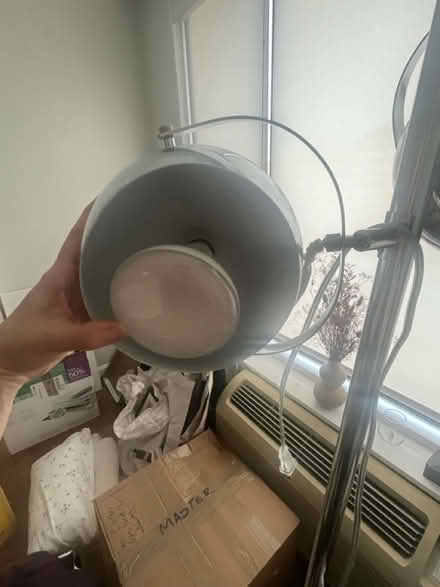 Photo of free Plant Light π‘ (Woodley Park) #2
