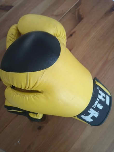 Photo of free Children's boxing gloves (Headington OX3) #1