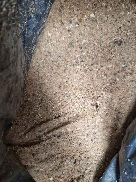 Photo of free Four bags of sharp sand (BN2) #1