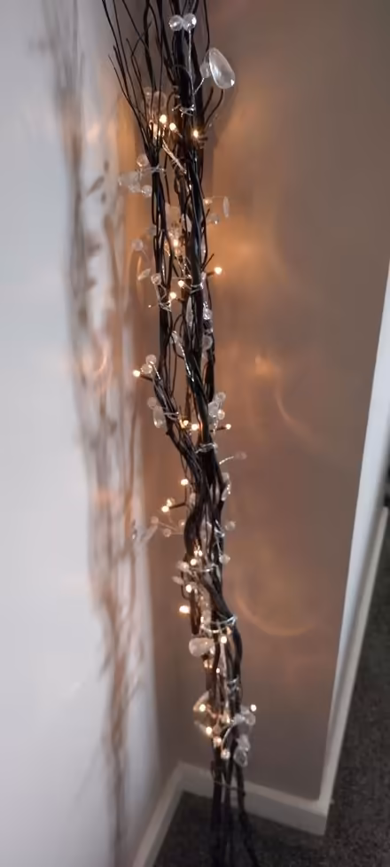 Photo of free Black twig lights (NG10) #1