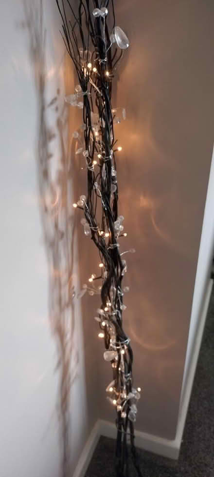Photo of free Black twig lights (NG10) #1