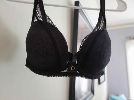Photo of free Two 32DD bras (North Oakland) #1