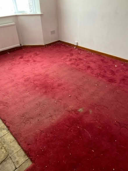 Photo of free Carpet (CT11) #4