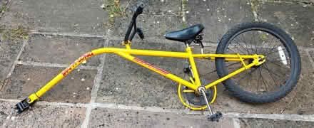 Photo of free Tag a long bike (Epping CM16) #1