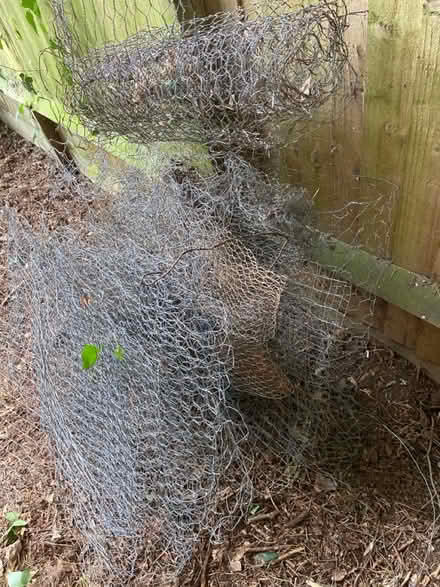 Photo of free Various chicken wire (St Albans AL1) #2