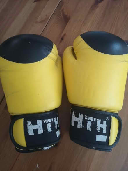 Photo of free Children's boxing gloves (Headington OX3) #3