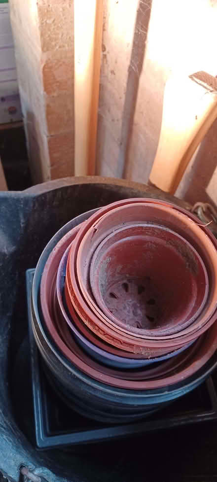 Photo of free Plastic plant pots (Longden SY5) #1