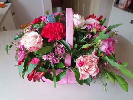 Photo of free Flower arranging basket (Cheltenham GL53) #2
