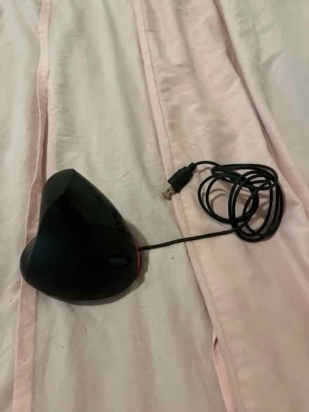 Photo of free Mouse (Brighton 15th St.) #1