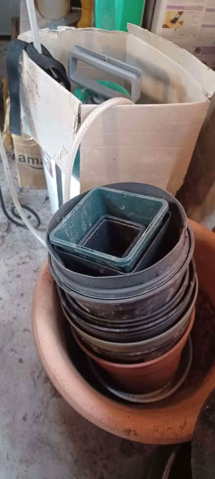 Photo of free Plastic plant pots (Longden SY5) #2