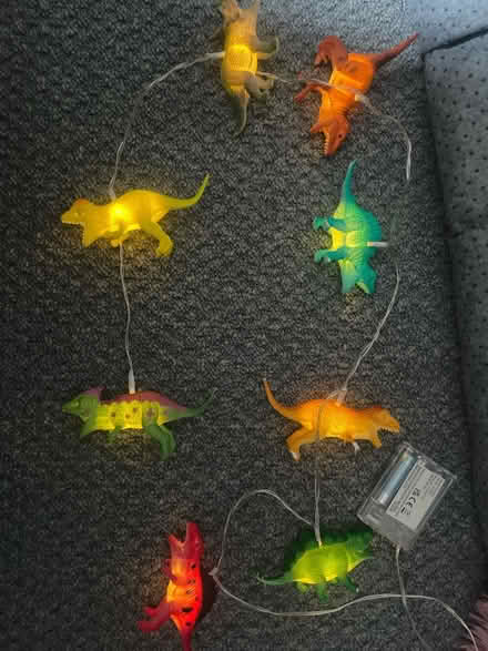 Photo of free Battery operated dinosaur lights (CW7 3HX) #1