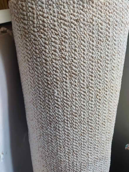 Photo of free Beige carpet offcut (Strawberry Hill TW11) #2