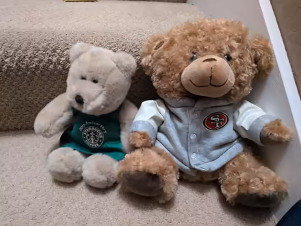 Photo of free Bears (Mount Carmel) #1