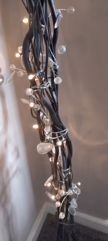 Photo of free Black twig lights (NG10) #3