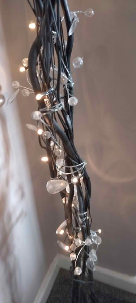 Photo of free Black twig lights (NG10) #3