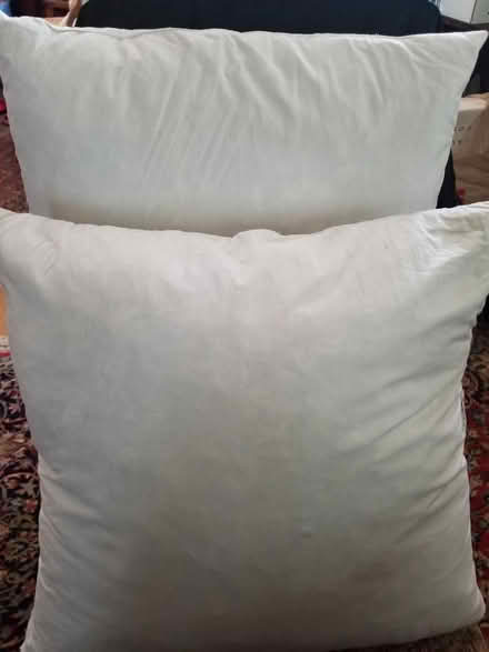 Photo of free Feather pillow inserts (Milton Randolph Area) #1