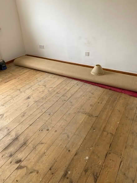Photo of free Carpet (CT11) #2