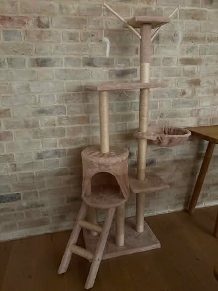 Photo of free Cat tree (Marylebone) #1