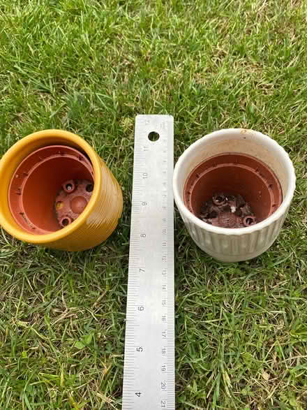Photo of free Small pots (Letchworth garden city SG6) #3
