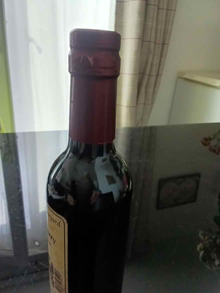 Photo of free elderberry liqueur (Northop Hall CH7) #1