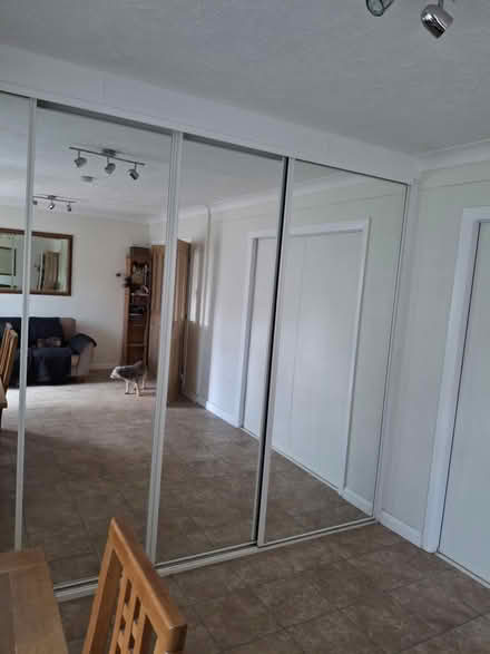 Photo of free Mirror doors/mirrors (Ringmer BN8) #2