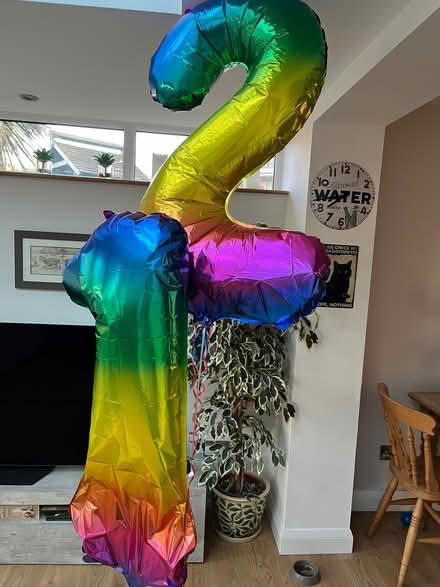 Photo of free Two balloons (The Triangle Estate RH15) #1